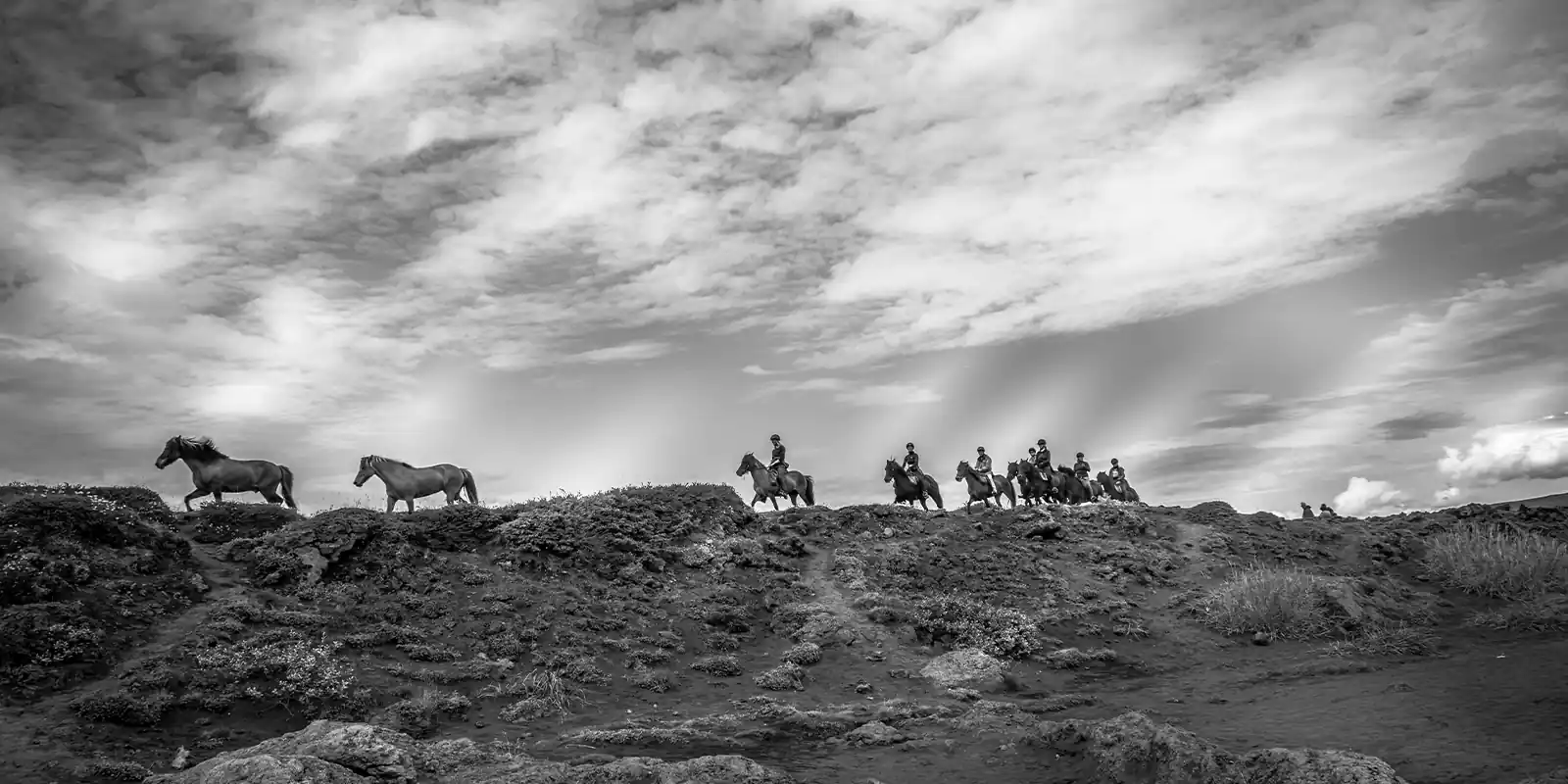 Mejor tour a caballo en Islandia